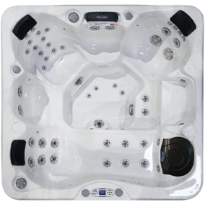 Avalon EC-849L hot tubs for sale in Indianapolis