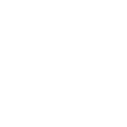 ce logo Indianapolis